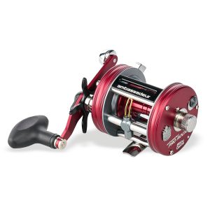 Abu Garcia Ambassadeur? CS Pro Rocket FE
